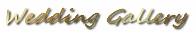 Executive Corporate Chauffeur Services
